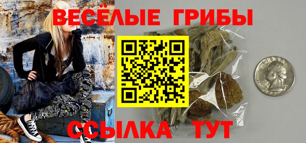 Галлюциногенные грибы Cubensis  Вход с VPN  Галлюциногенные грибы ЛСД  Вологда 