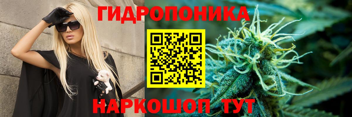 Марихуана VHQ  Бошки Шишки LSD WEED  Вход с VPN  Вологда 